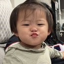 돈가스하우스 이미지