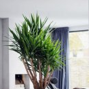 유카라이프 이미지