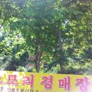 번영이용원 네이버블로그
