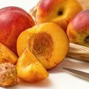 고도한의원 이미지