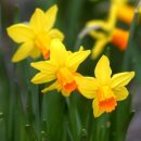 범계초등학교2 이미지