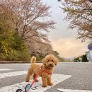 아인스동물병원 이미지