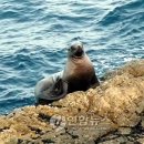 새동해바다 이미지