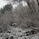 첫눈에평창 이미지