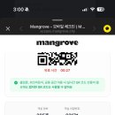 맹그로브 짐 | 제주 맹그로브 manggrove jeju city