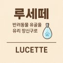 5편. 루세떼는 나중에 결정해도 괜찮다고 했다 – 반려묘의 기억을 간직하는 또 하나의 선택
