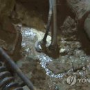 대촌동 행정복지센터 이미지