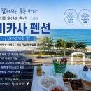 아미카사
