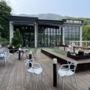 로히메르시 이미지