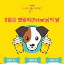 플래시커피 이미지