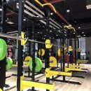 남스짐 고촌점 헬스 PT | 고촌pt 추천! 운동을 시작해야 하는 이유 남스짐과 함께하세요
