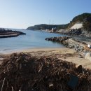 오보해수욕장 옆 이미지