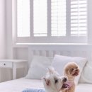 교감스튜디오
