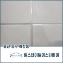 이스턴샤인 이미지