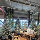 경기도지역버스노동조합 (주)경기운수 | [경기/일산] 크리스마스 대형 베이글 카페 추천｜킴스델리마켓 일산점 솔직 후기 (주차·웨이팅·메뉴...