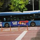 진아교통 이미지