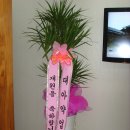 대아약업사 이미지