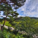 내림 펜션 이미지