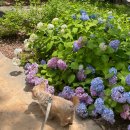 거북선공원2길 이미지