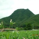 천주사 입구 이미지