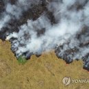 우림농산물