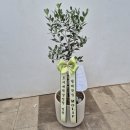 하은농장 | 2501~02 먹부림