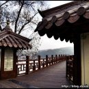 달이 비추는 곳 이미지