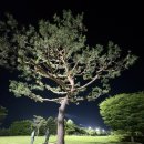231.안골4번_2 | 임페리얼레이크CC 골프라운딩 후기 6월 주말야간 노캐디 충주 골프장추천