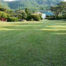 푸르름의 농원 이미지