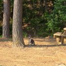 주문진펜션 청유 이미지