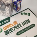 앨고 스튜디오
