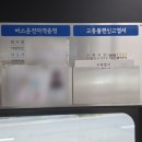 버스 접촉사고(난 승객) 정형외과 통원 치료 후기 (feat. 교통사고 후유증 조심)