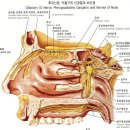 상쾌한이비인후과 이미지