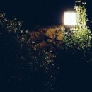 올리브펜션 이미지