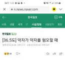 약자가 약자를 혐오할 때 이미지