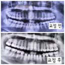 여수게스트하우스벨루가B | 바쁘다 바빠 2025년 총 결산