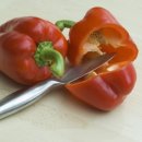 무지개메디칼 이미지