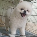 전북여자고등학교 이미지