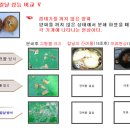 다이손 이미지