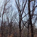 서리풀공원1-21 이미지