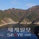 전남유리