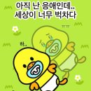 어급센 영양사 실습 후기