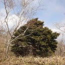 차돌배기로 이미지