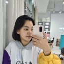 에스테티아세종소담 이미지