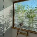 맑음;studio