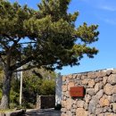 플로어가든01 | 마당이 넓은 통창뷰 제주 풀빌라 | 제주 숙소 추천 | 제주 독채 펜션 | 마운틴뷰 | 숲뷰 | 애월 숙소