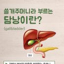 담낭 건강에 좋은 음식 / 메밀 이미지