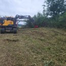 낙동강변9 | 안동건설기계 경북 낙동강변 제초+파쇄 작업 후기 (드림트리 나무분쇄기 어태치 사용)