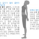 바른자세 테라피 이미지
