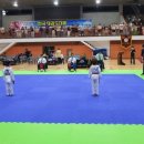 천마태권도 이미지